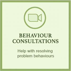 Behaviour consultations