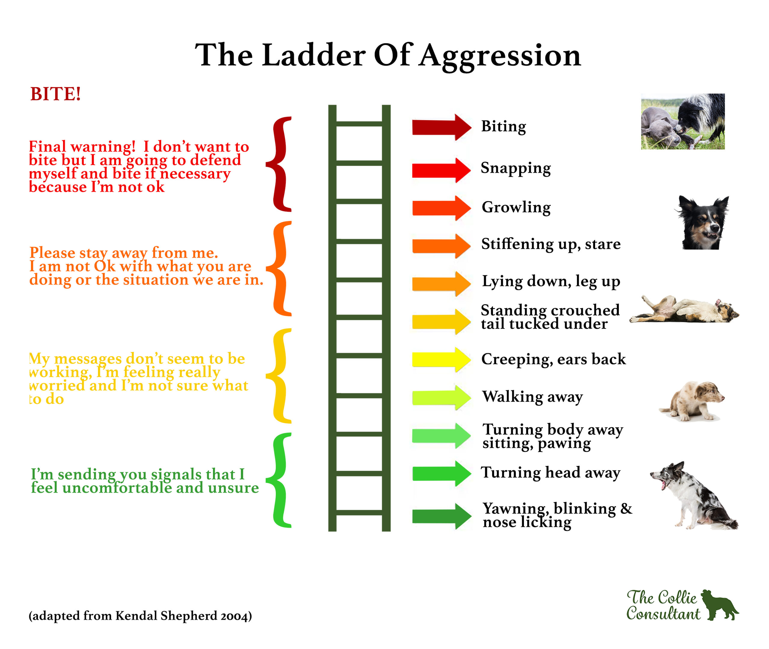 the ladder of aggression