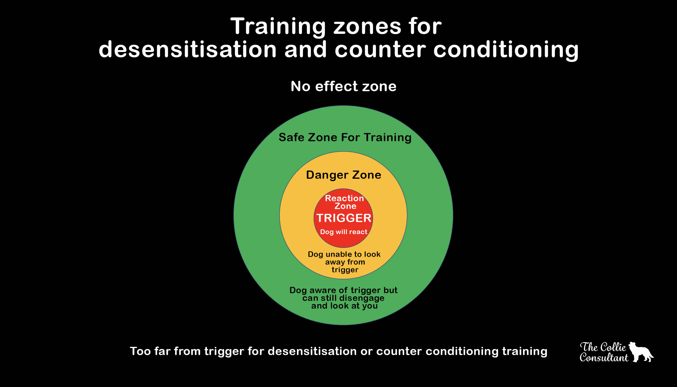 border collie aggressive behaviour - zones for training