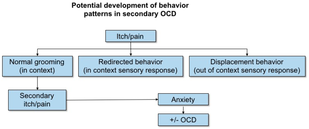 Diagram about abnomral repetitive behaviour taken from Harvey Et. al. (2019)