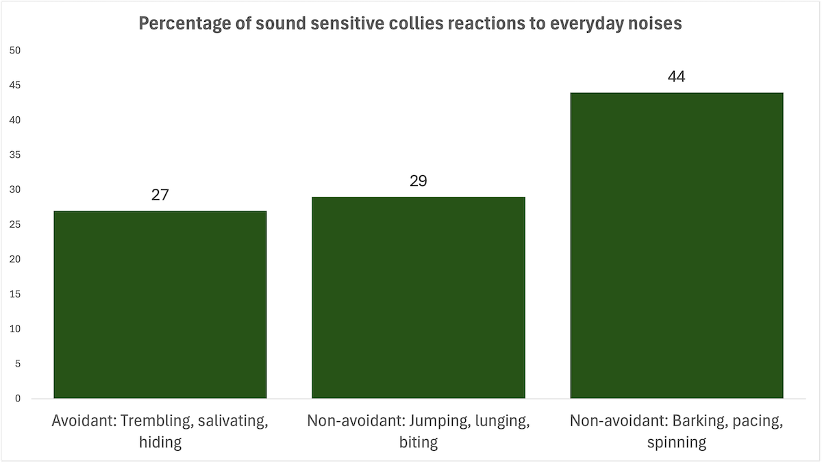 Border collie reactions to everyday sounds