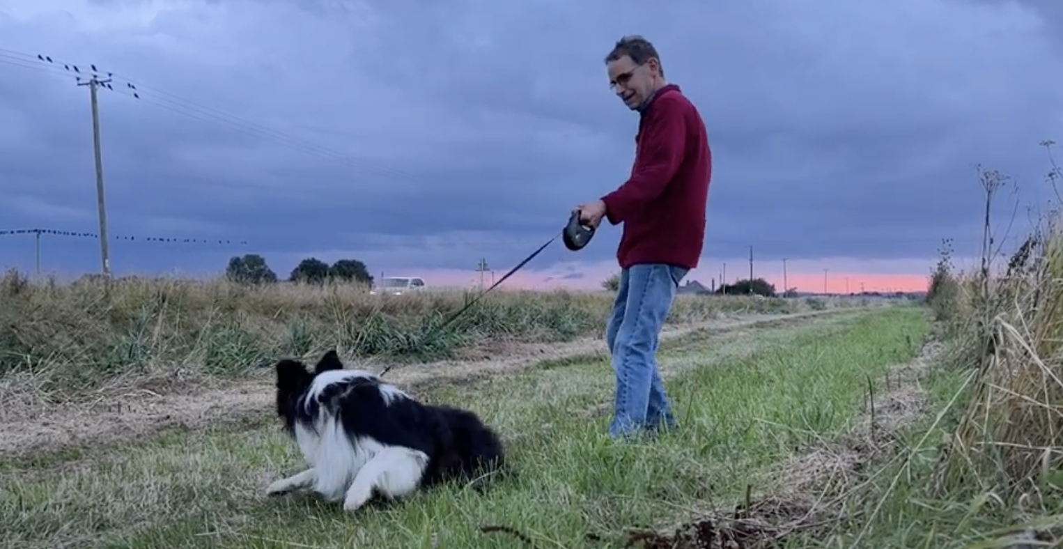 Training techniques: collie car chasing