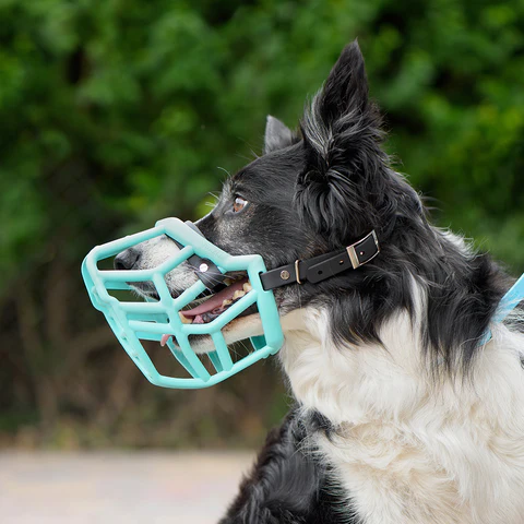 Muzzle movement muzzle