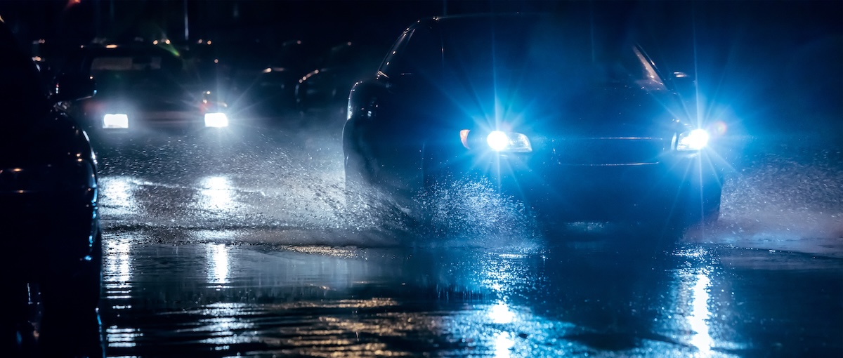 Border collie view of a car in the rain