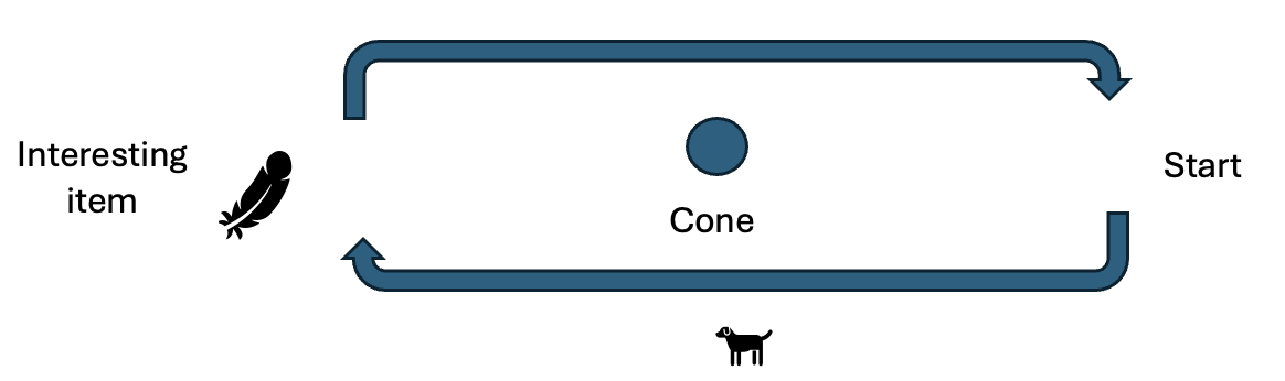 Pattern games for car chasing collies