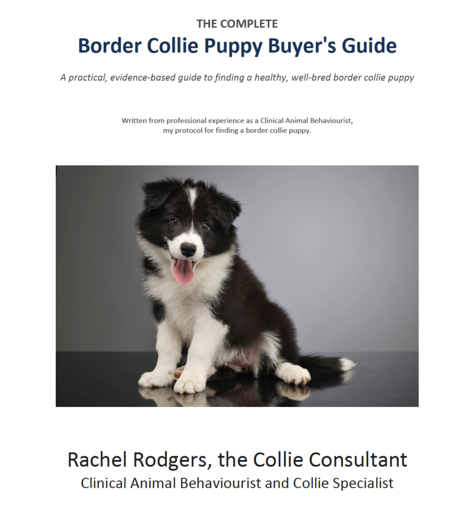 Border collie puppy buyer's booklet