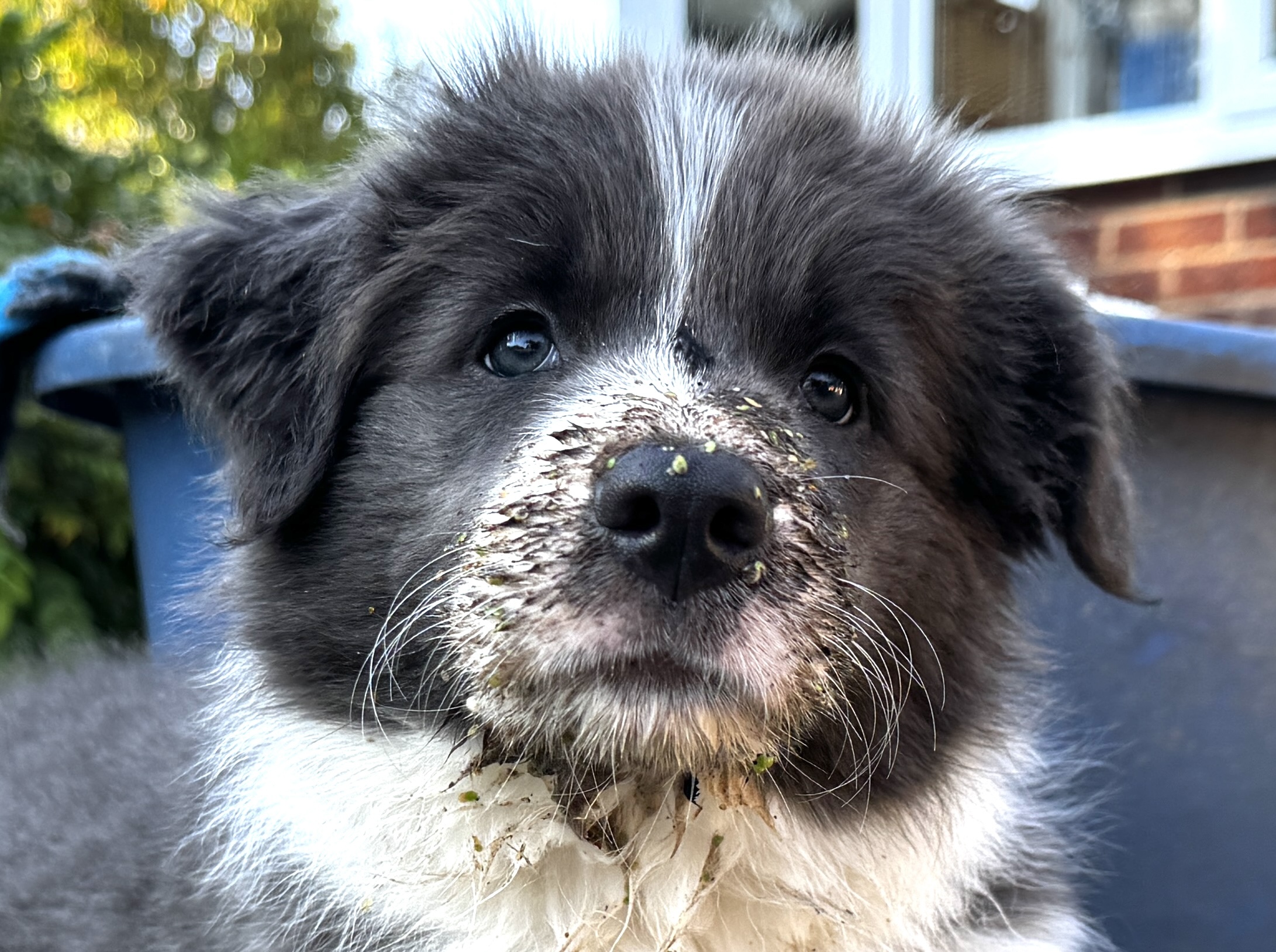 Matilda diary week 2