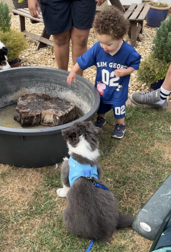 Matilda diary week 2