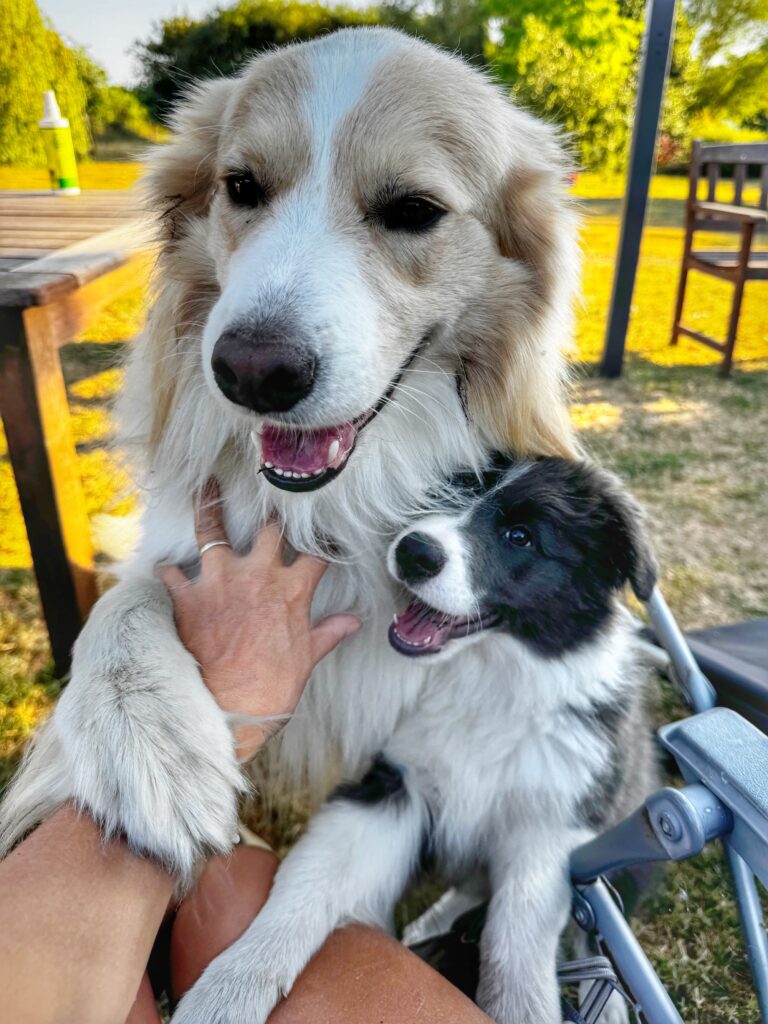 Matilda and Ozzy