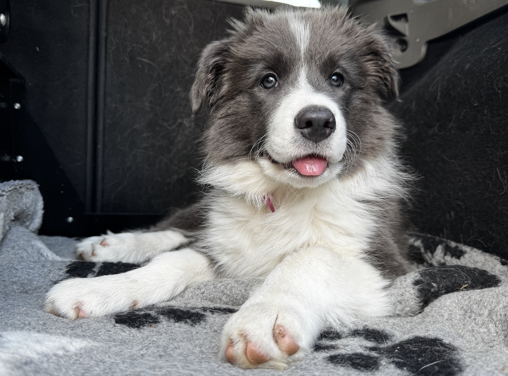 Matilda's diary weeks 10 - 12