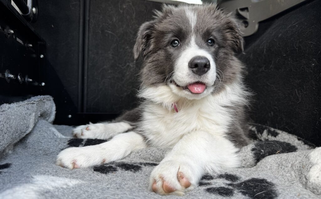 Matilda's diary age 10 - 12 weeks