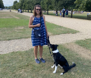 border collie training spalding