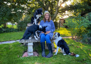 Border collie training lincolnshire